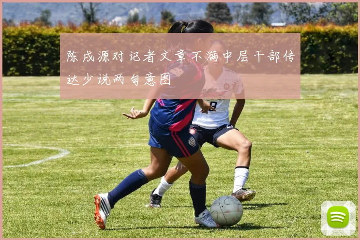 陈戌源对记者文章不满中层干部传达少说两句意图